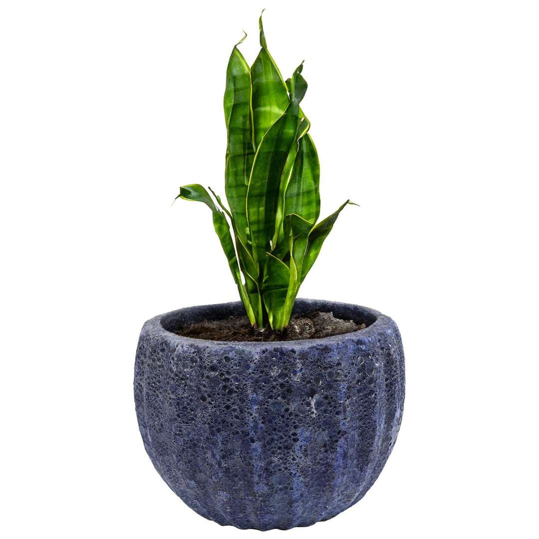 Sunnydaze 13.5" Fluted Lava Finish Ceramic Planter - Dark Blue Image 7