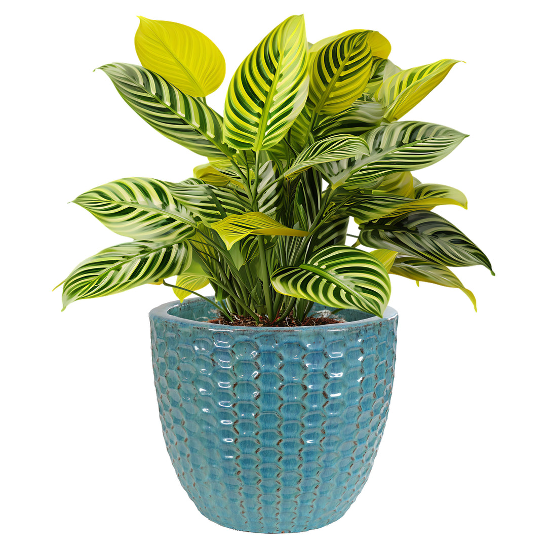 Sunnydaze Turquoise Raised Hexagon Pattern Ceramic Planter - 14" Image 6