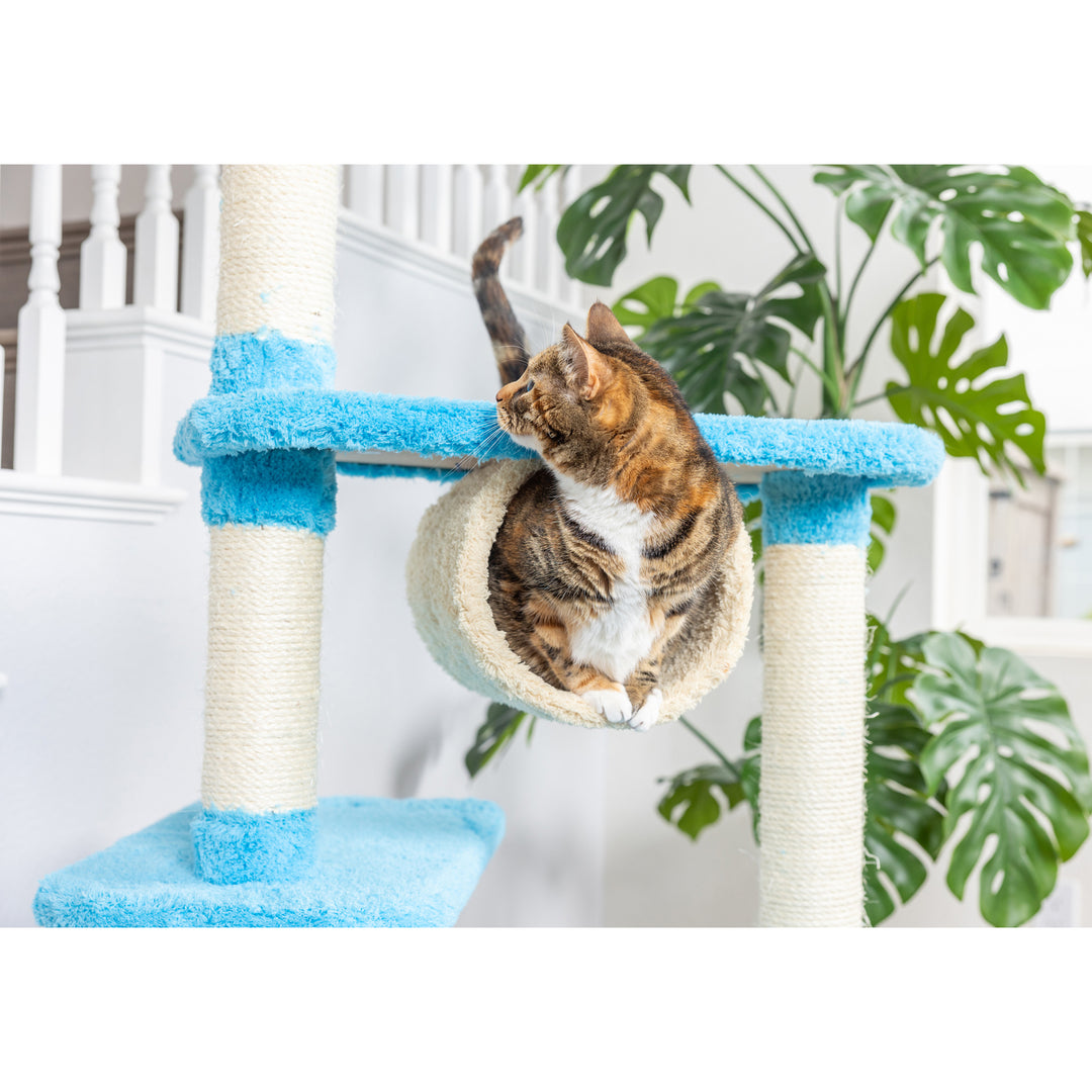 Armarkat Cat Climbing Tree Sky Blue Model X6105 Wood Cat Furniture 61 Inch Image 6