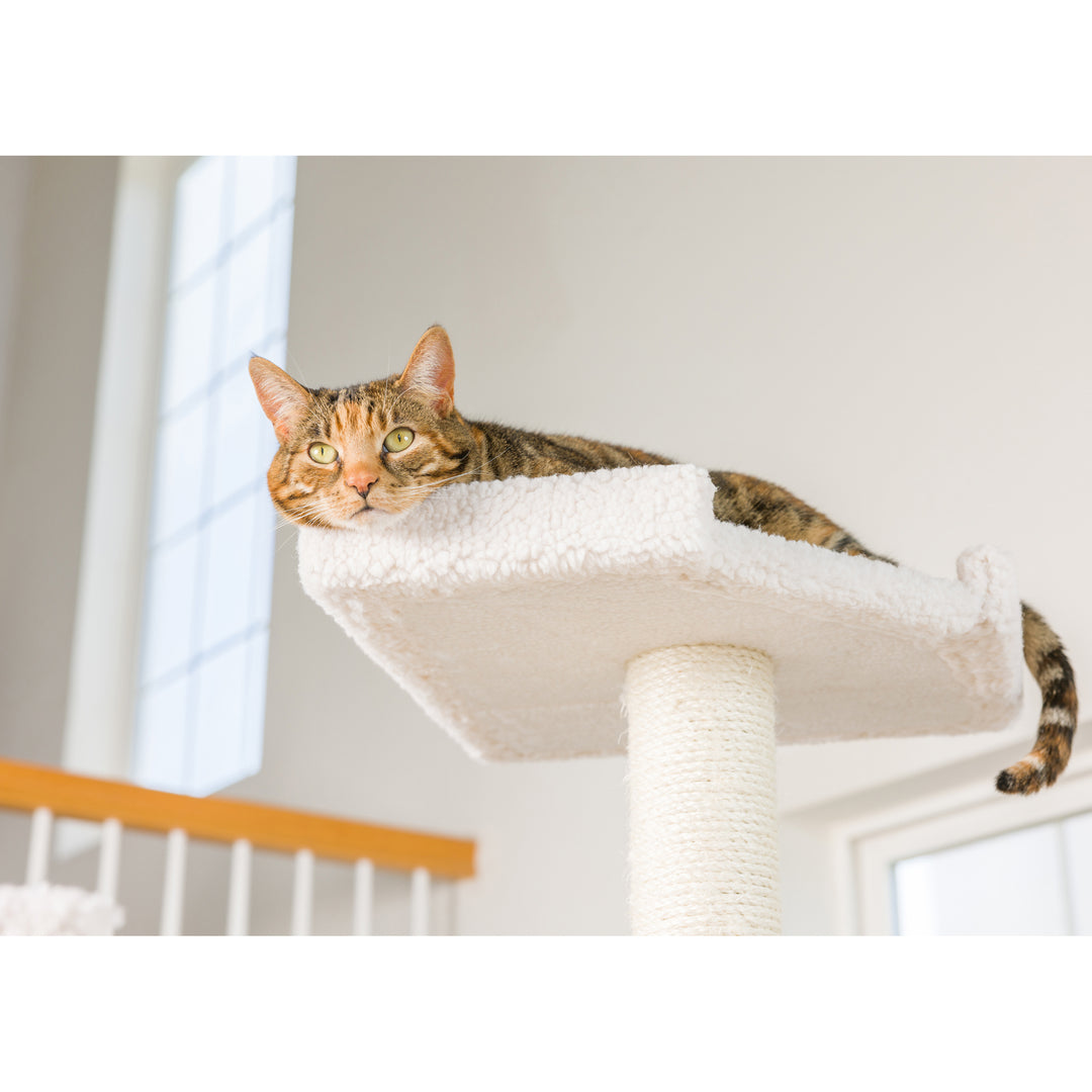 Armarkat B8201 Cat Tree Ivory Multi-Level 82in Ramp Condo 100lbs Capacity Image 6