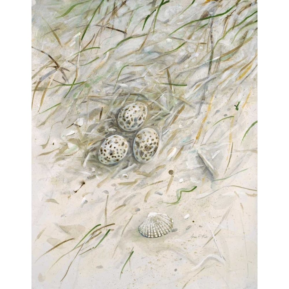 Seaside Nest Poster Print by Arnie FISK-VARPDX011FIS1303 Image 1