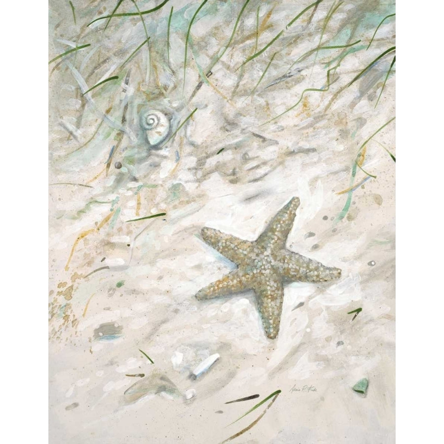 Seaside Starfish Poster Print by Arnie FISK-VARPDX011FIS1305 Image 1