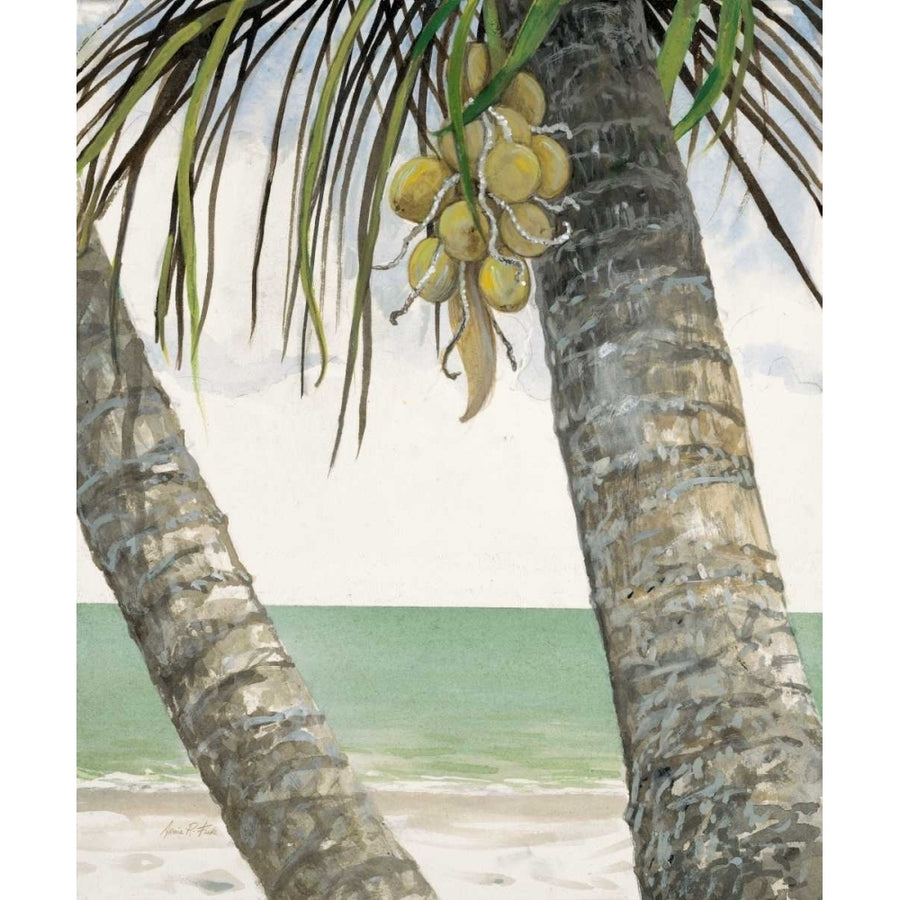 Seaside Coconuts Poster Print by Arnie FISK-VARPDX011FIS1309 Image 1