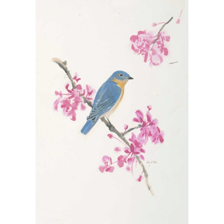 Bird in Blue Poster Print by Arnie FISK-VARPDX011FIS1318 Image 1