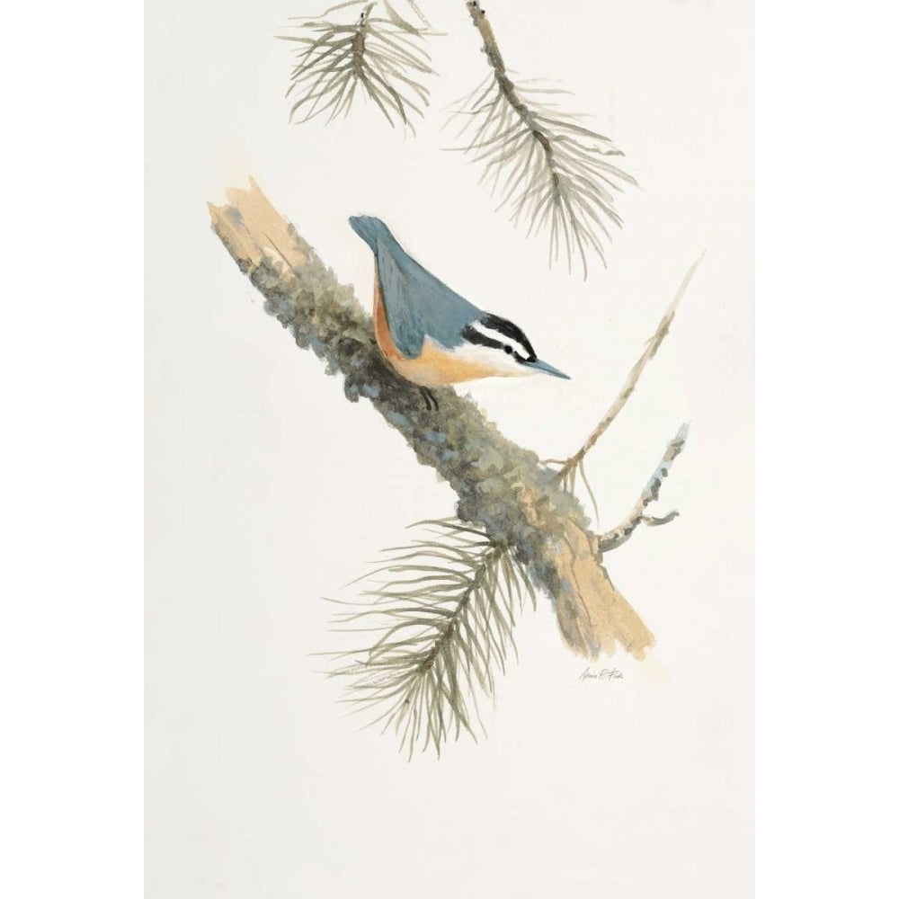 Bird in Grey Poster Print by Arnie FISK-VARPDX011FIS1319 Image 1