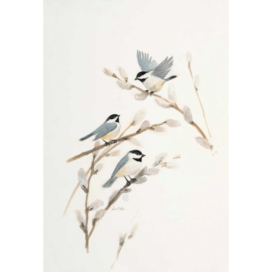 Bird in White Poster Print by Arnie FISK-VARPDX011FIS1320 Image 1