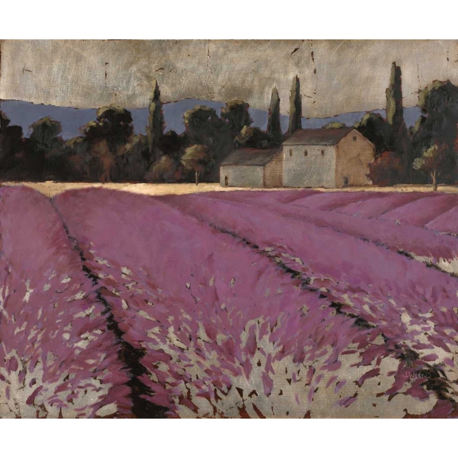 Lavender Fields 2 Poster Print by James Wiens-VARPDX041WIE1133 Image 1