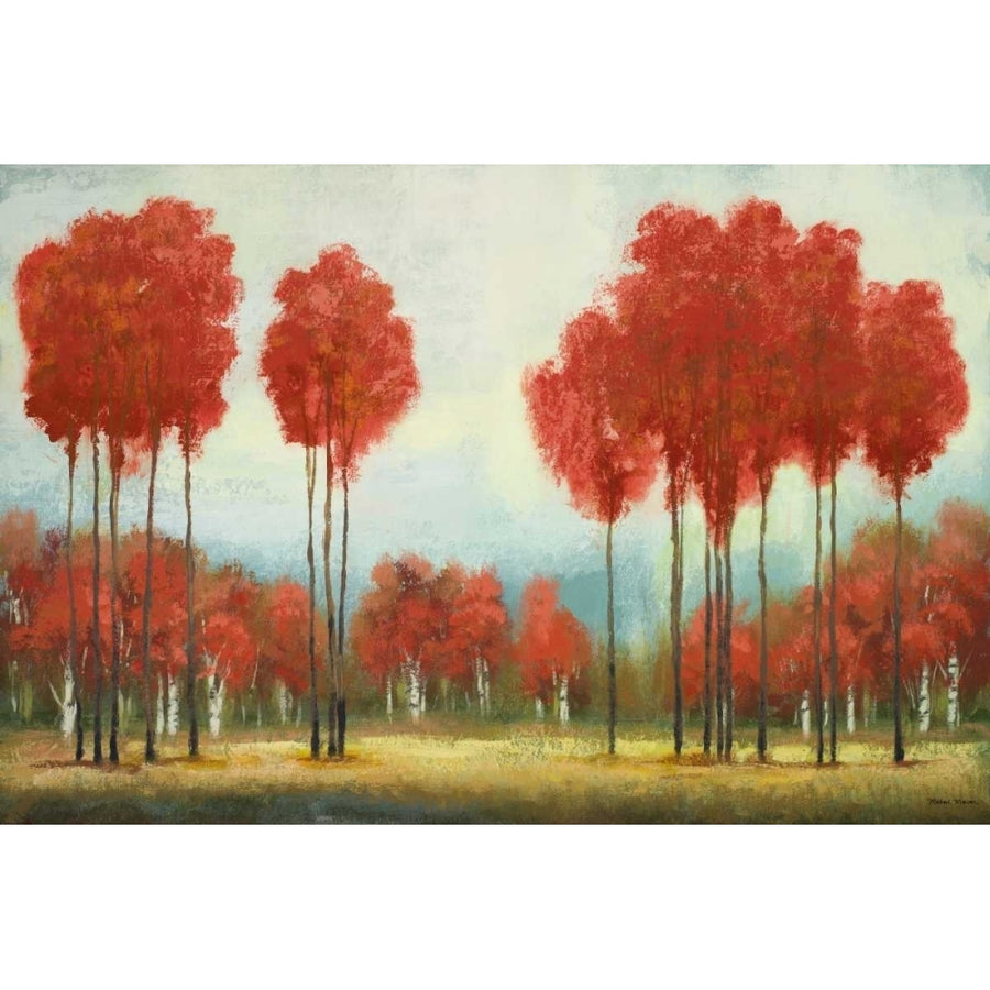 Autumn Reds Poster Print by Michael Marcon-VARPDX10051A Image 1