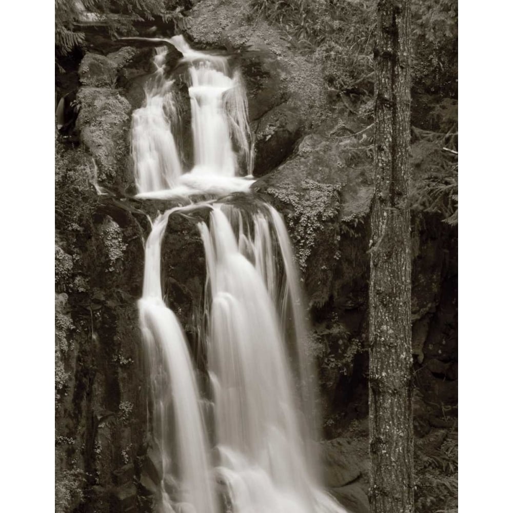 Kentucky Falls Poster Print by Lisa Audit-VARPDX10060 Image 1