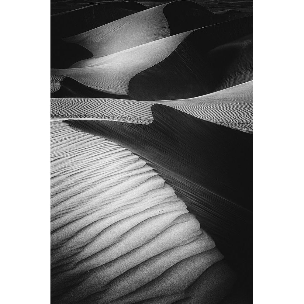 Desert Light Poster Print - Rami Al Adwan-VARPDX1013862 Image 1