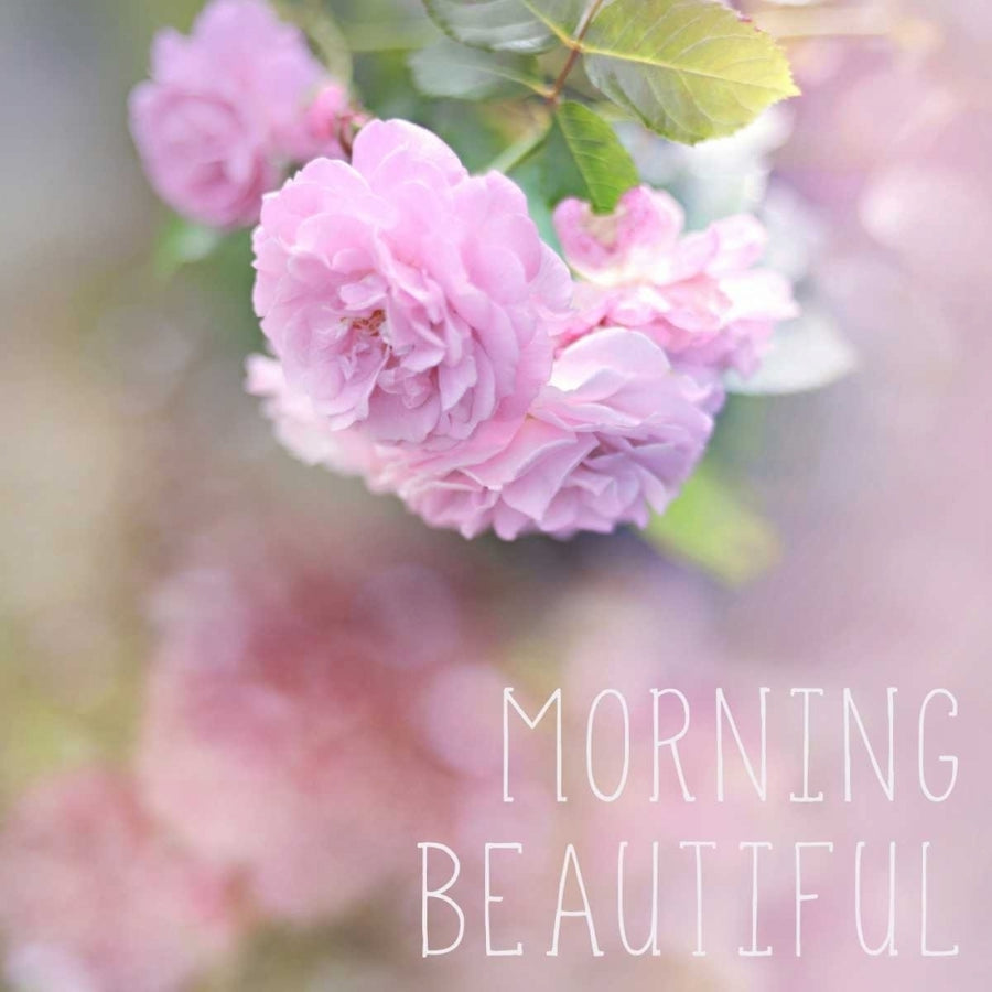 Morning Beautiful Poster Print by Sarah Gardner-VARPDX10142A Image 1