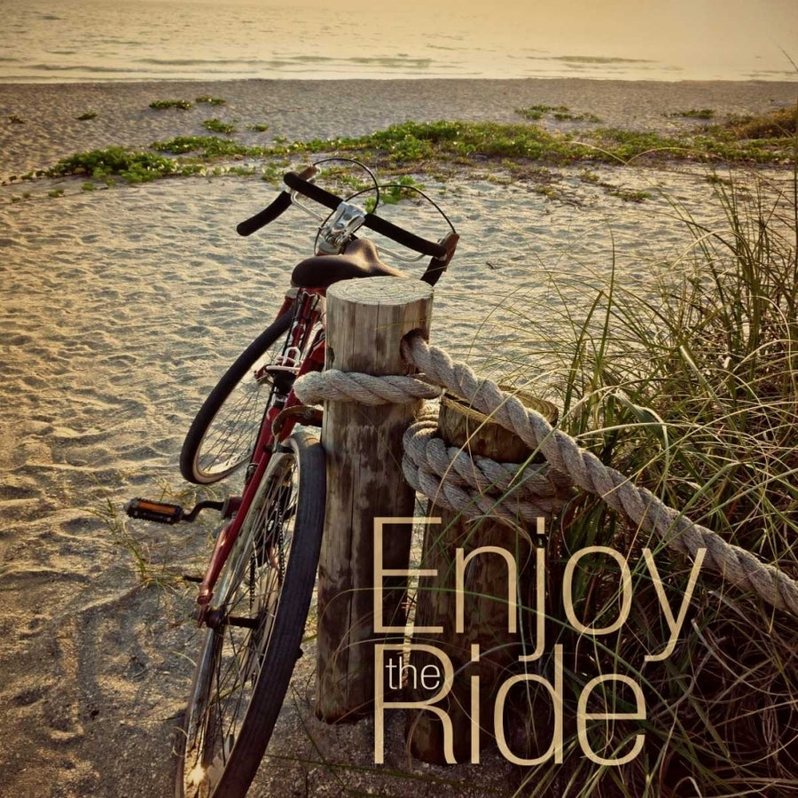 Enjoy the Ride Poster Print by Gail Peck-VARPDX10153H Image 1