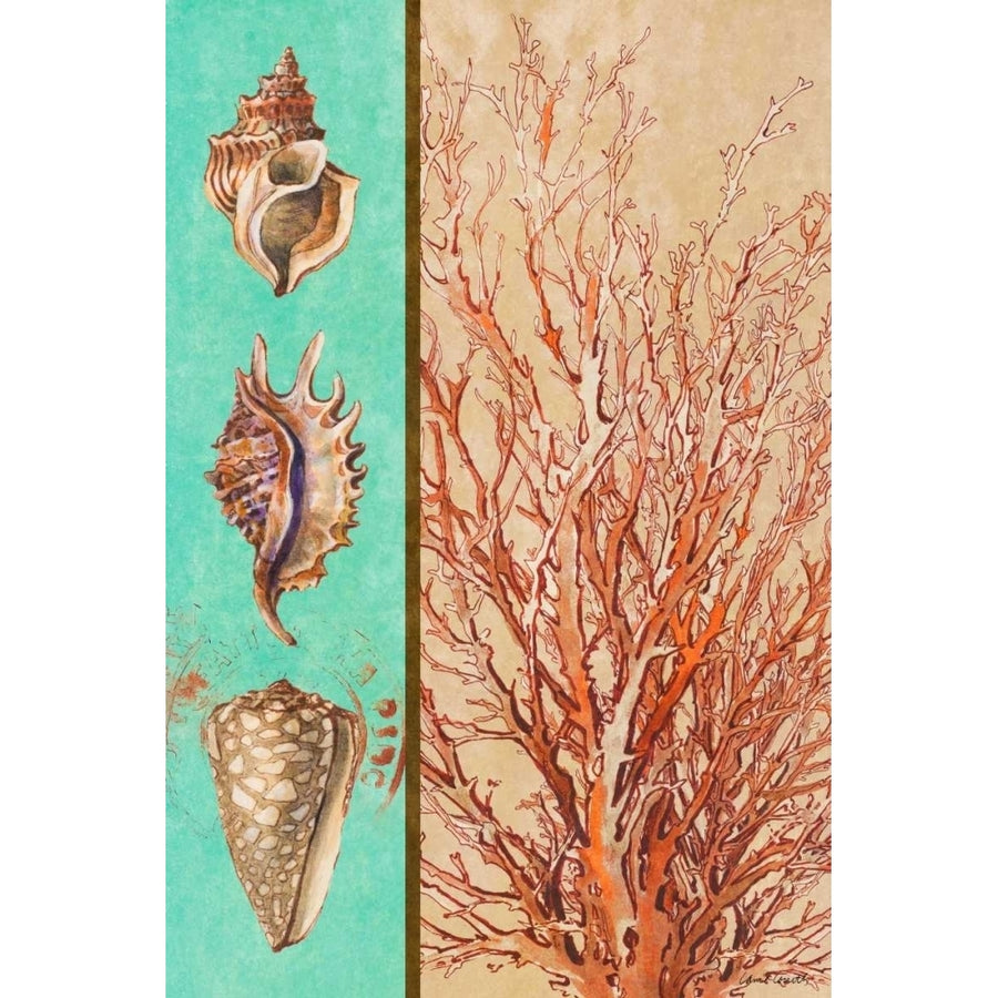 Coral and Sea Shells I Poster Print by Lanie Loreth-VARPDX10158B Image 1