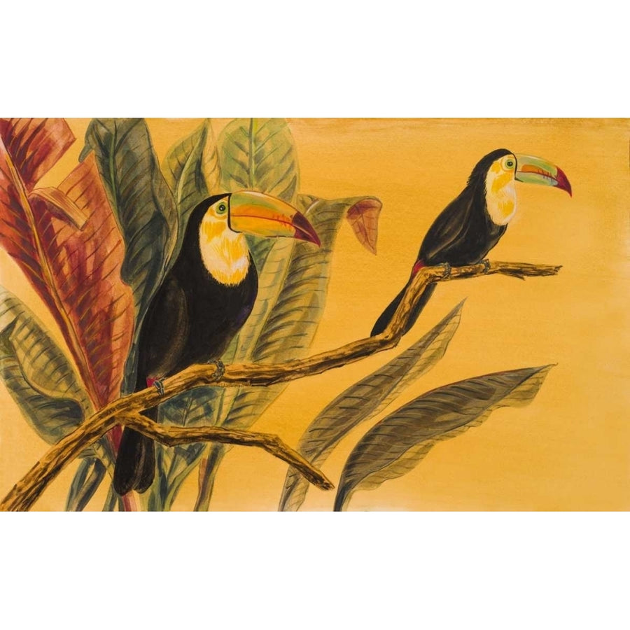 Toucans II Poster Print by Linda Baliko-VARPDX10163 Image 1