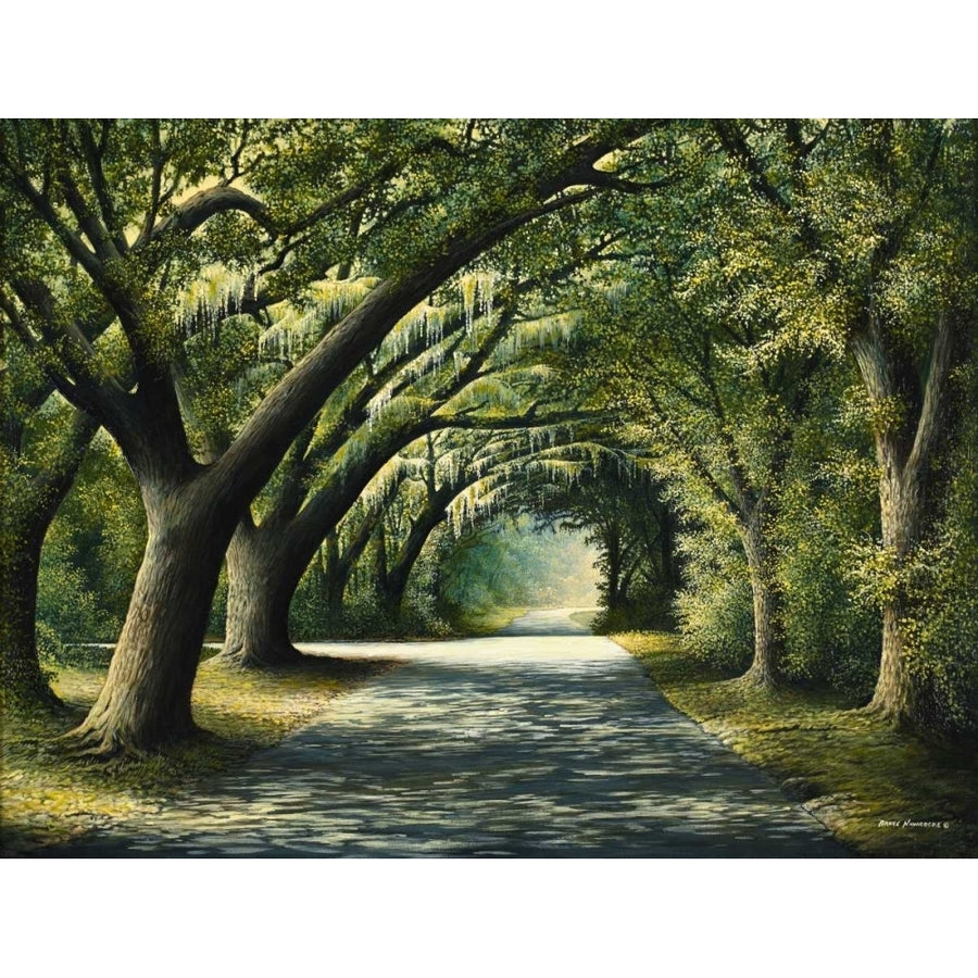 Favorite Path Poster Print by Bruce Nawrocke-VARPDX10184B Image 1