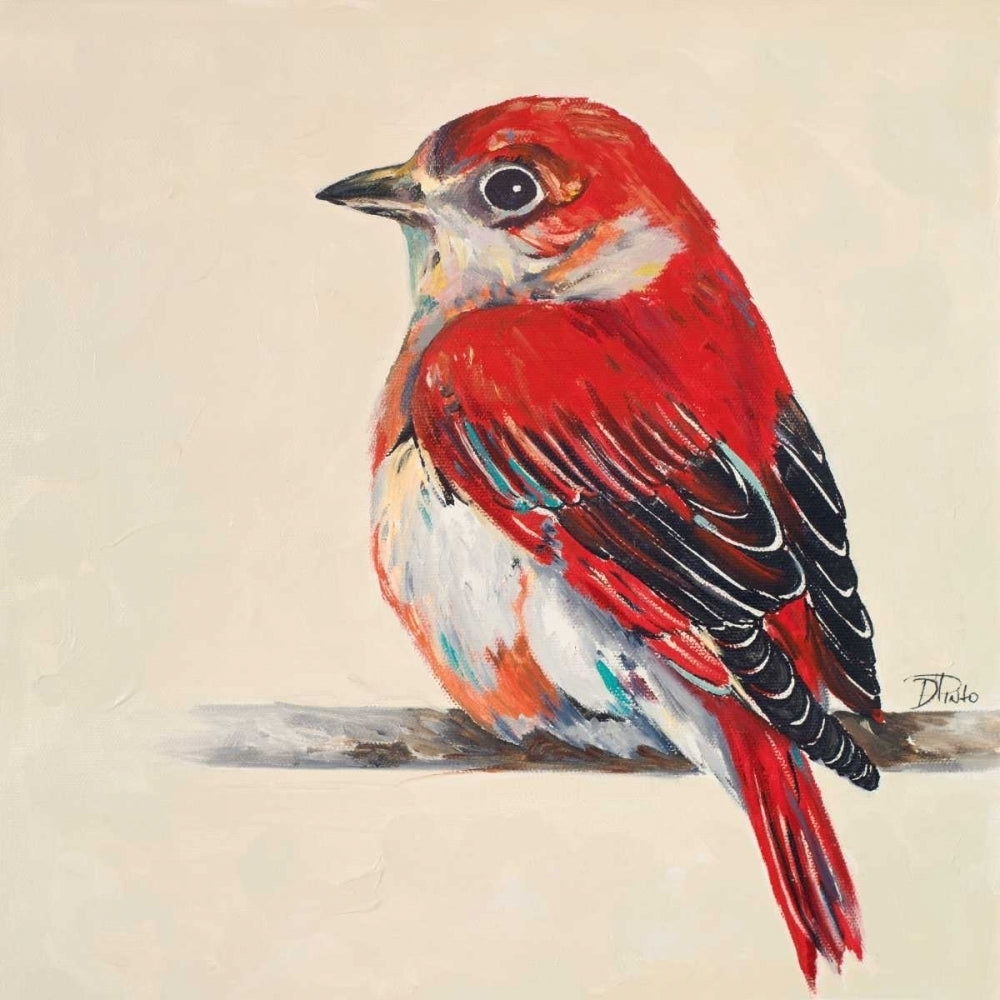 Baby Red Bird II Poster Print by Patricia Pinto-VARPDX10238 Image 1