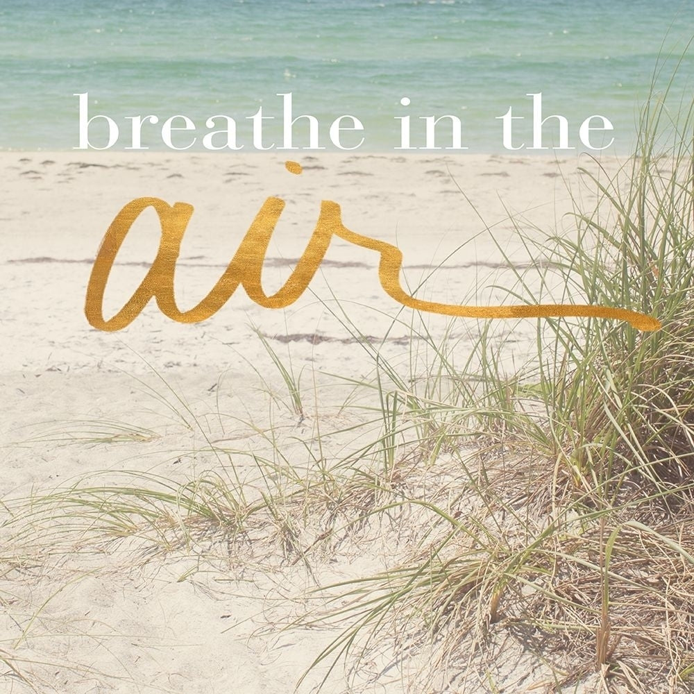 Breathe in the Air Poster Print by Susan Bryant-VARPDX10259FB Image 1