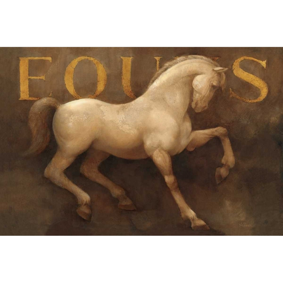 Equus Poster Print by Albena Hristova-VARPDX10346 Image 1