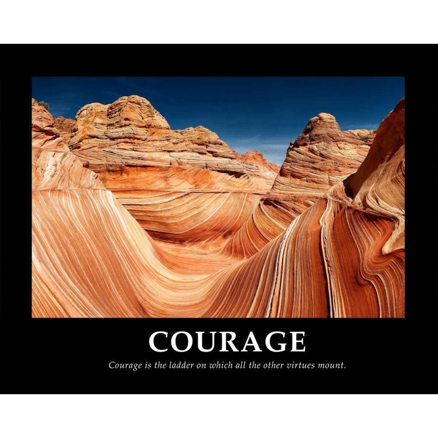 Courage Poster Print by Shelley Lake-VARPDX10367B Image 1