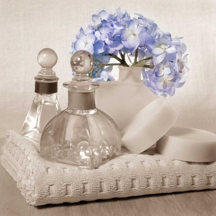 Hydrangea and Towel Poster Print by Julie Greenwood-VARPDX103GRE1189 Image 1