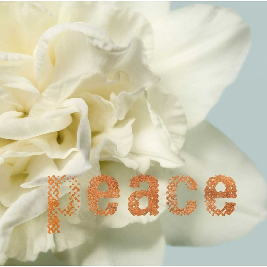 Peace Blossom Poster Print by Julie Greenwood-VARPDX103GRE1326 Image 1