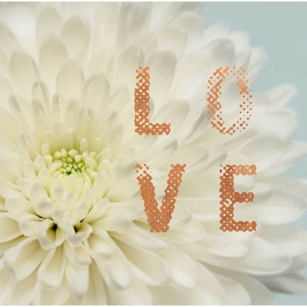 Love Flower Poster Print by Julie Greenwood-VARPDX103GRE1324 Image 1