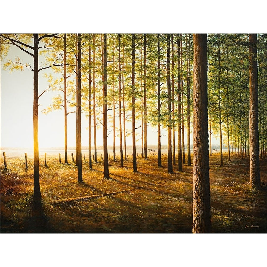 Sunrise In The Woods Poster Print - Bruce Nawrocke-VARPDX10437S Image 1