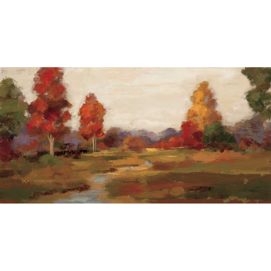 Fall Creek Poster Print by Silvia Vassileva-VARPDX10445 Image 1