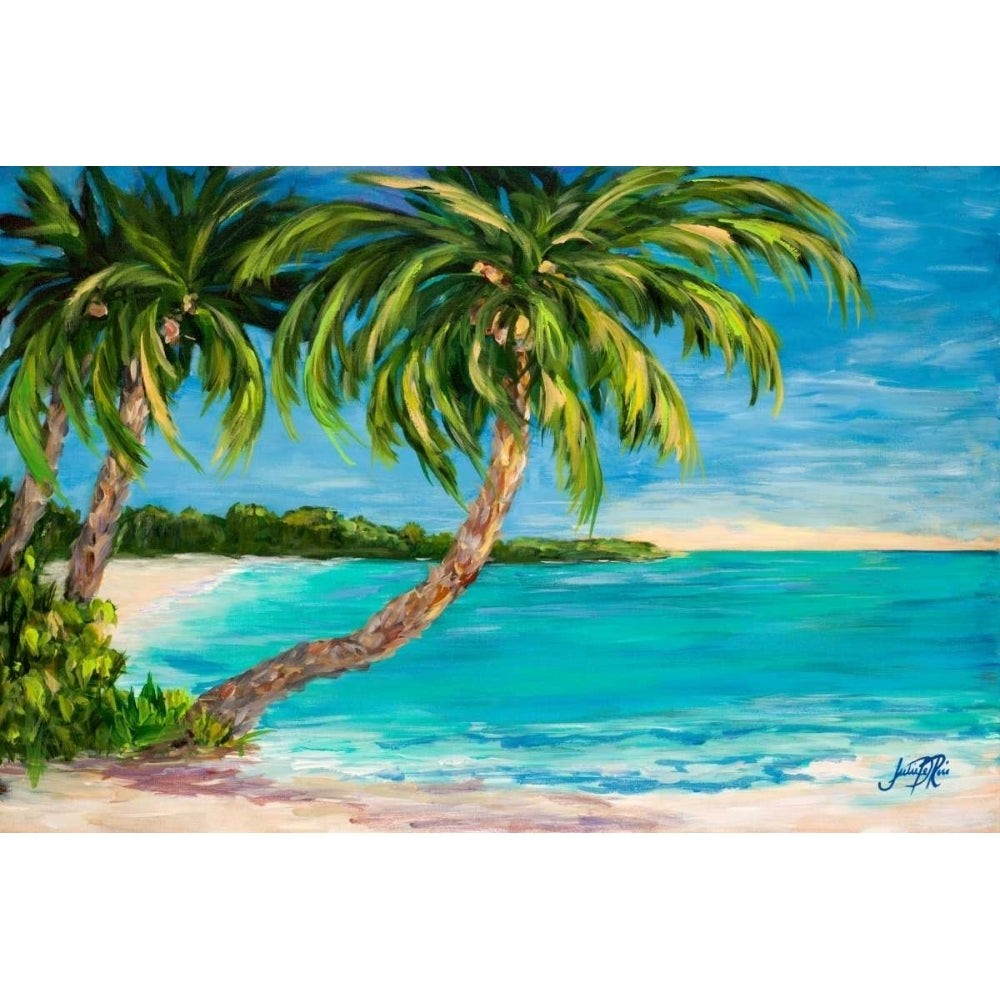 Palm Cove Poster Print by Julie DeRice-VARPDX10468A Image 1