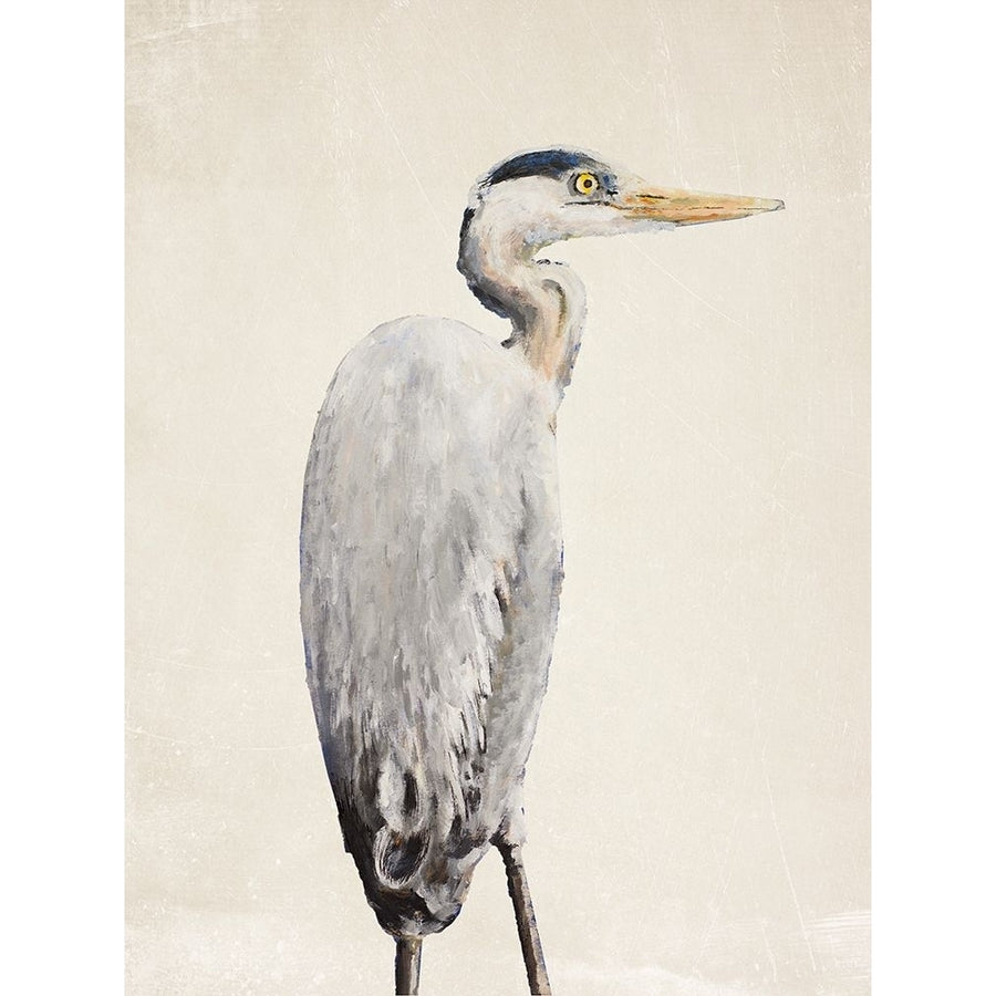 Grey Heron II Poster Print - Walt Johnson-VARPDX10511K Image 1