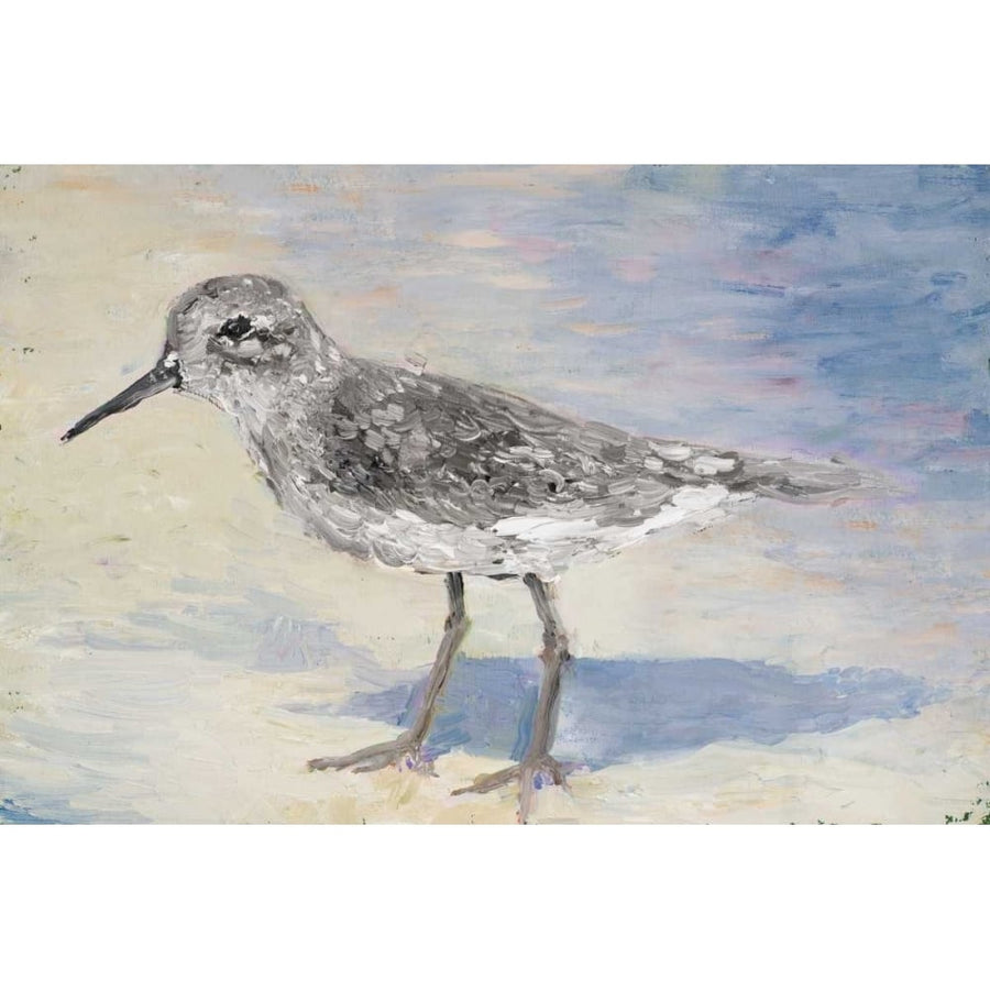 Sandpiper II Poster Print by Walt Johnson-VARPDX10513 Image 1