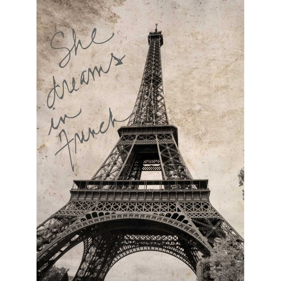 French Dreams Border Poster Print by Emily Navas-VARPDX10533F Image 1