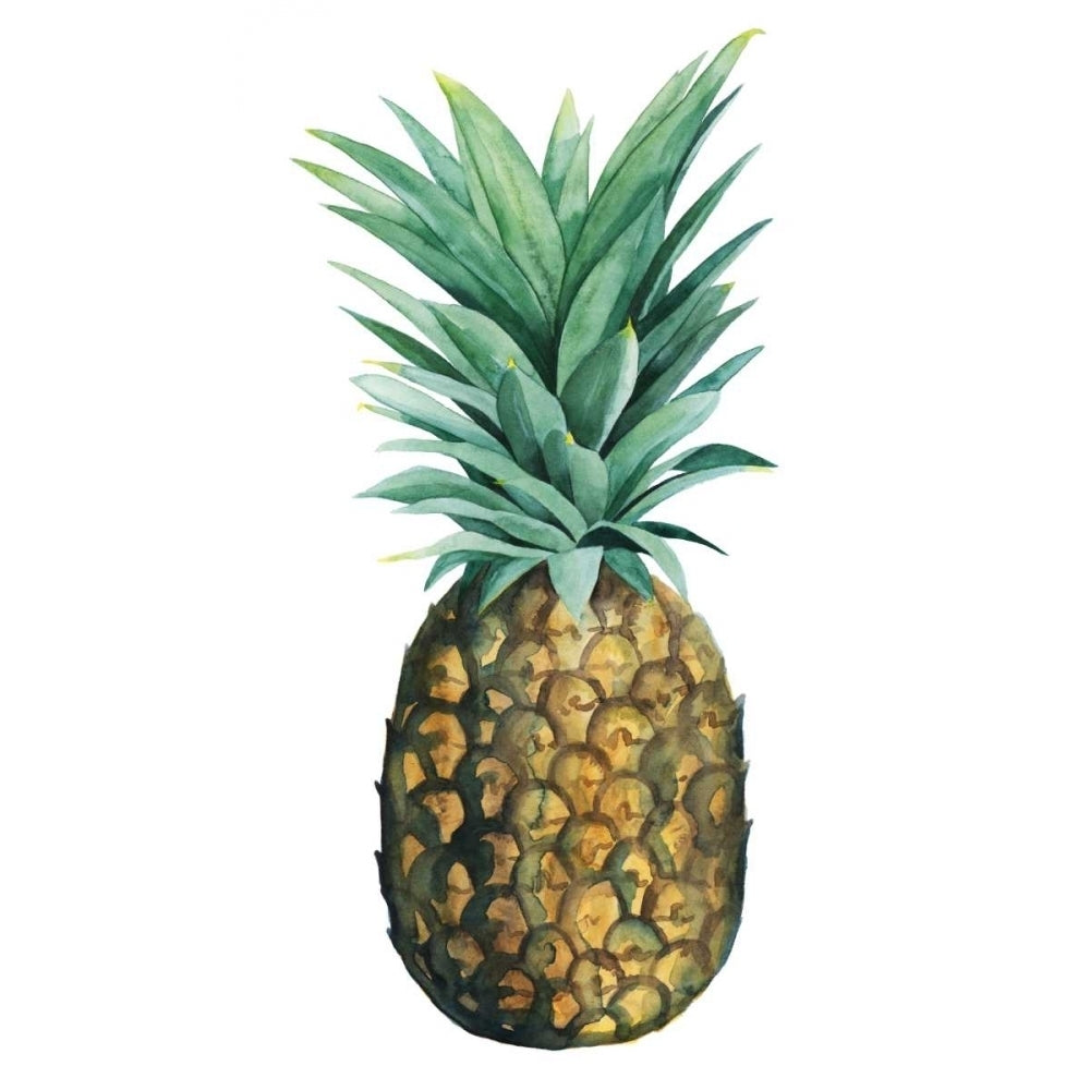 Watercolor Pineapple II Poster Print - Grace Popp-VARPDX105688D Image 1