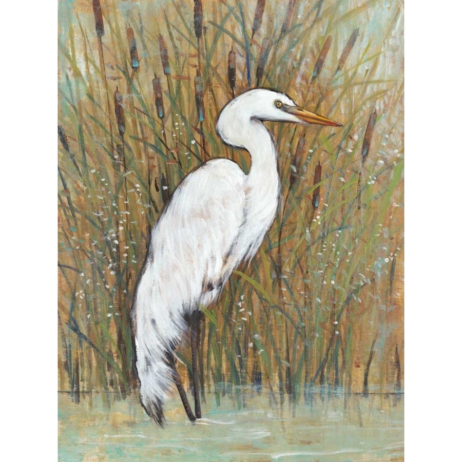 White Egret II Poster Print - Tim OToole-VARPDX105761GG Image 1