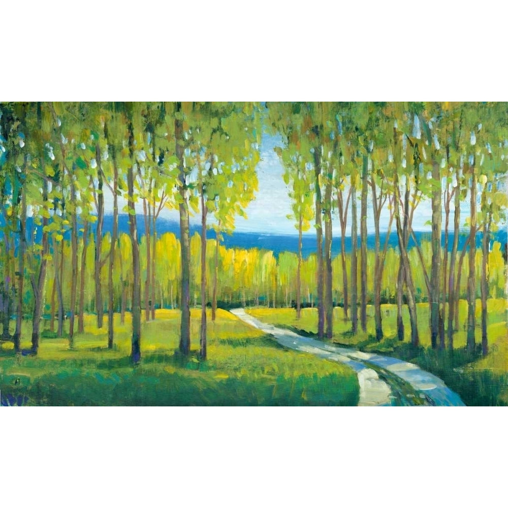 Morning Stroll I Poster Print - Tim OToole-VARPDX105758GG Image 1