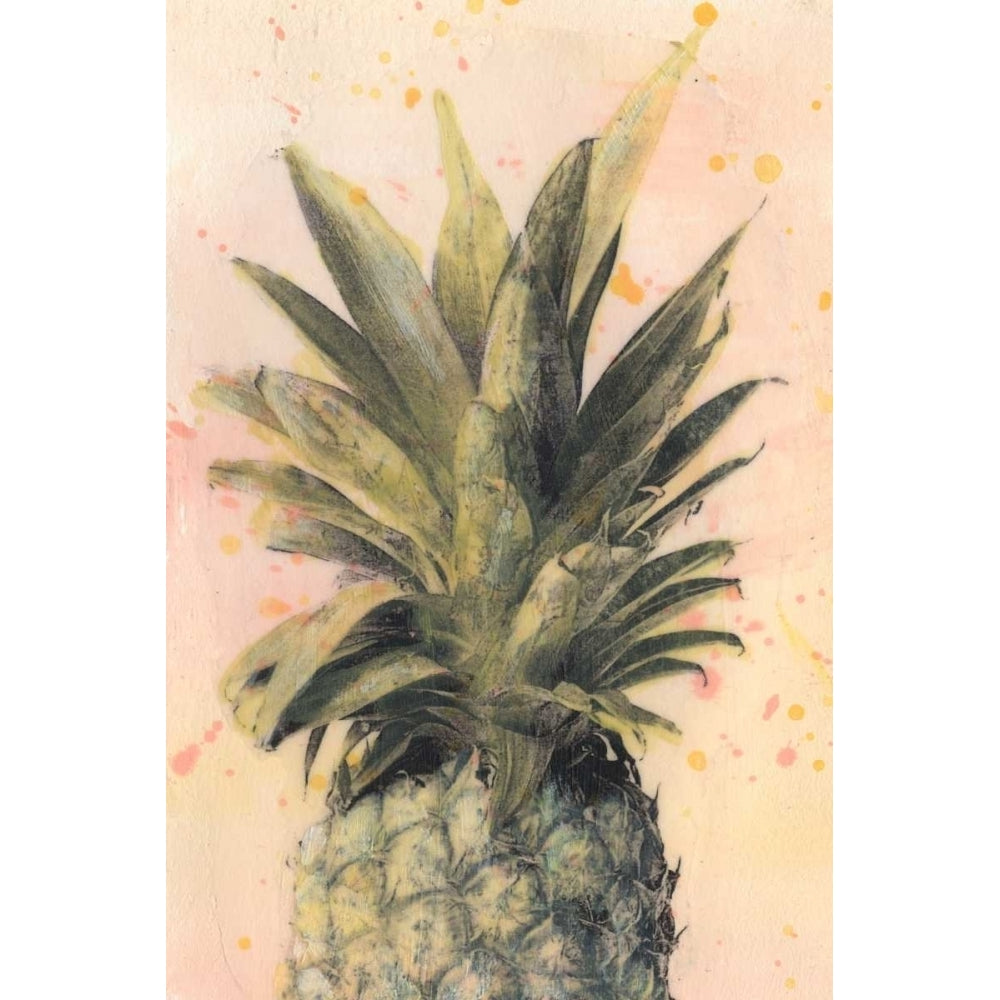 Pineapple Delight I Poster Print - Naomi McCavitt-VARPDX105883Z Image 1