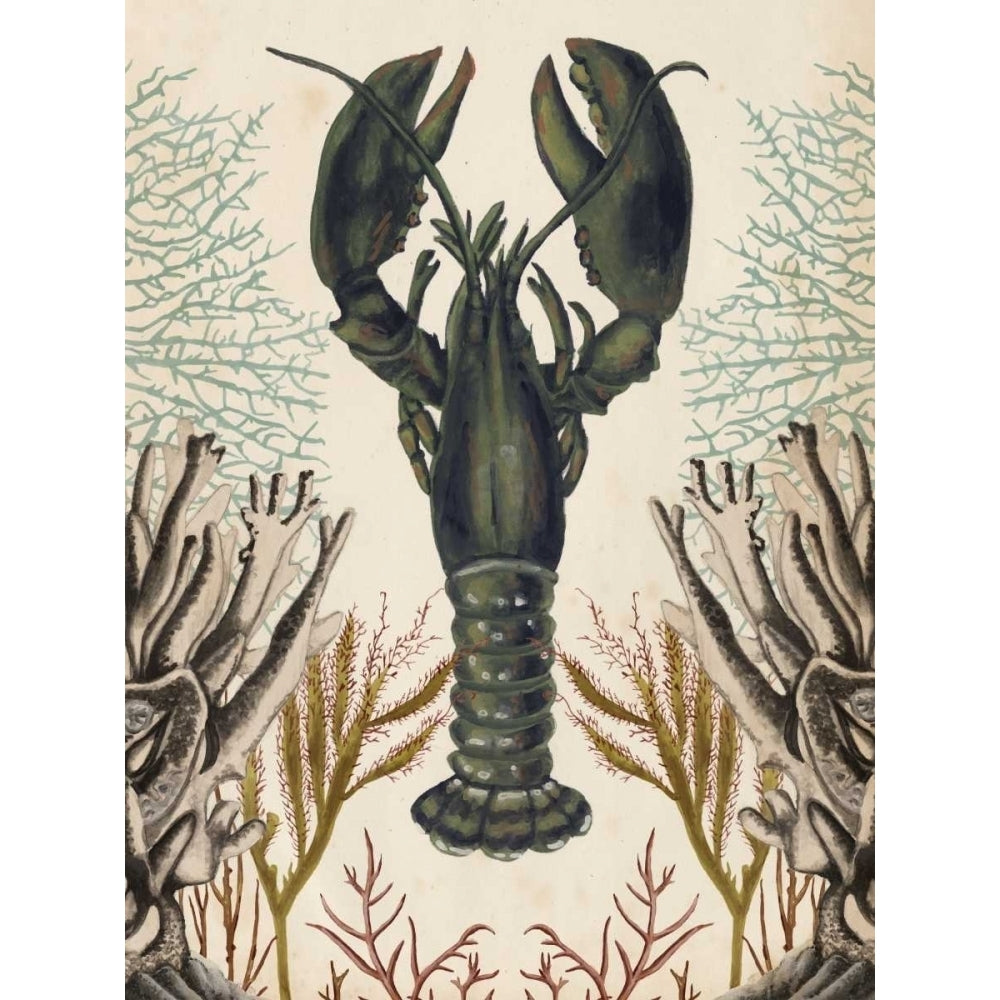 Antiquarian Menagerie - Lobster Poster Print - Naomi McCavitt-VARPDX105907Z Image 1