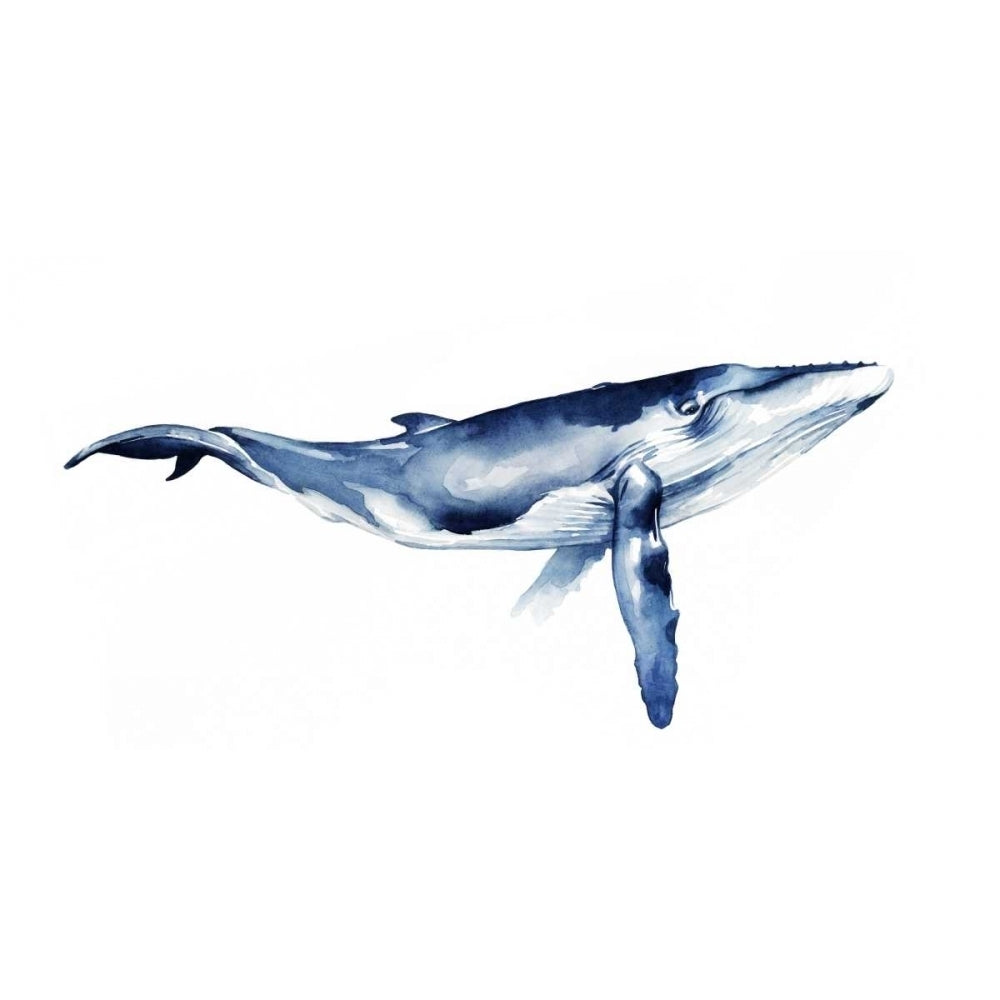 Whale Portrait I Poster Print - Grace Popp-VARPDX105936Z Image 1