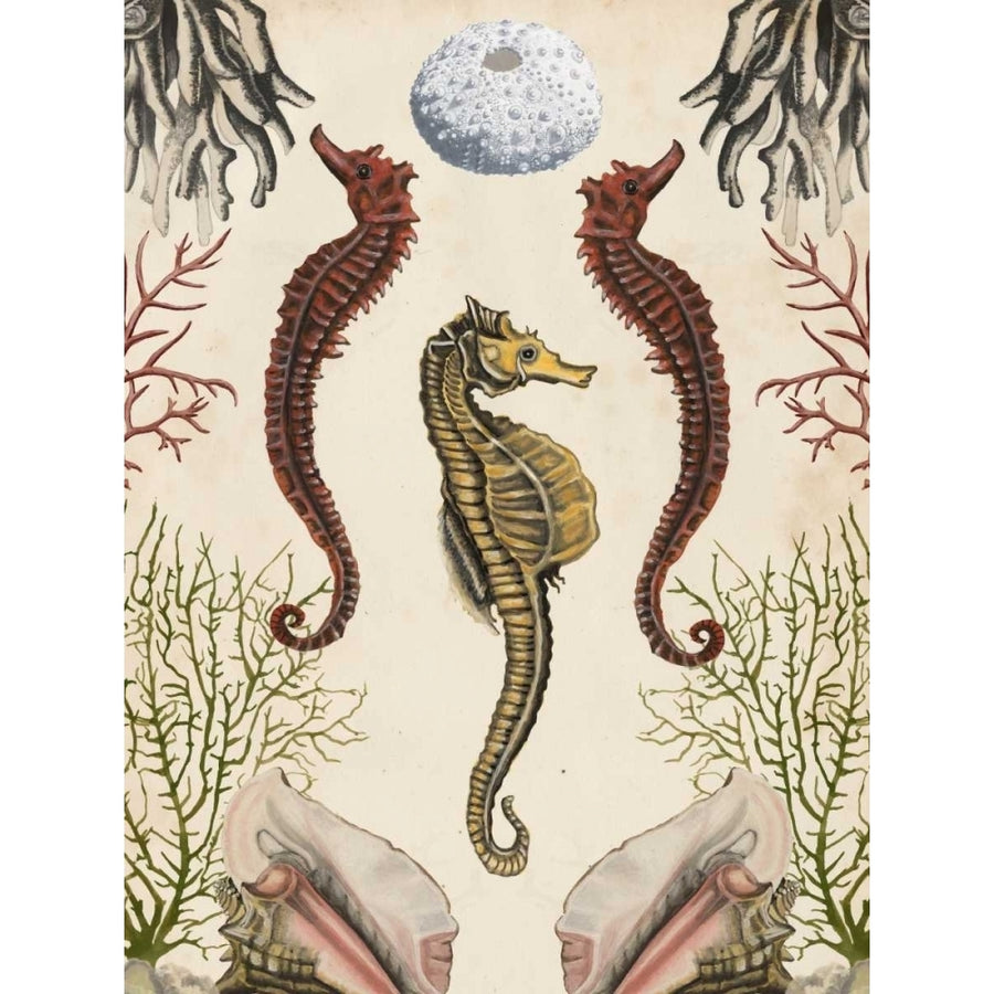 Antiquarian Menagerie - Seahorse Poster Print - Naomi McCavitt-VARPDX105909Z Image 1