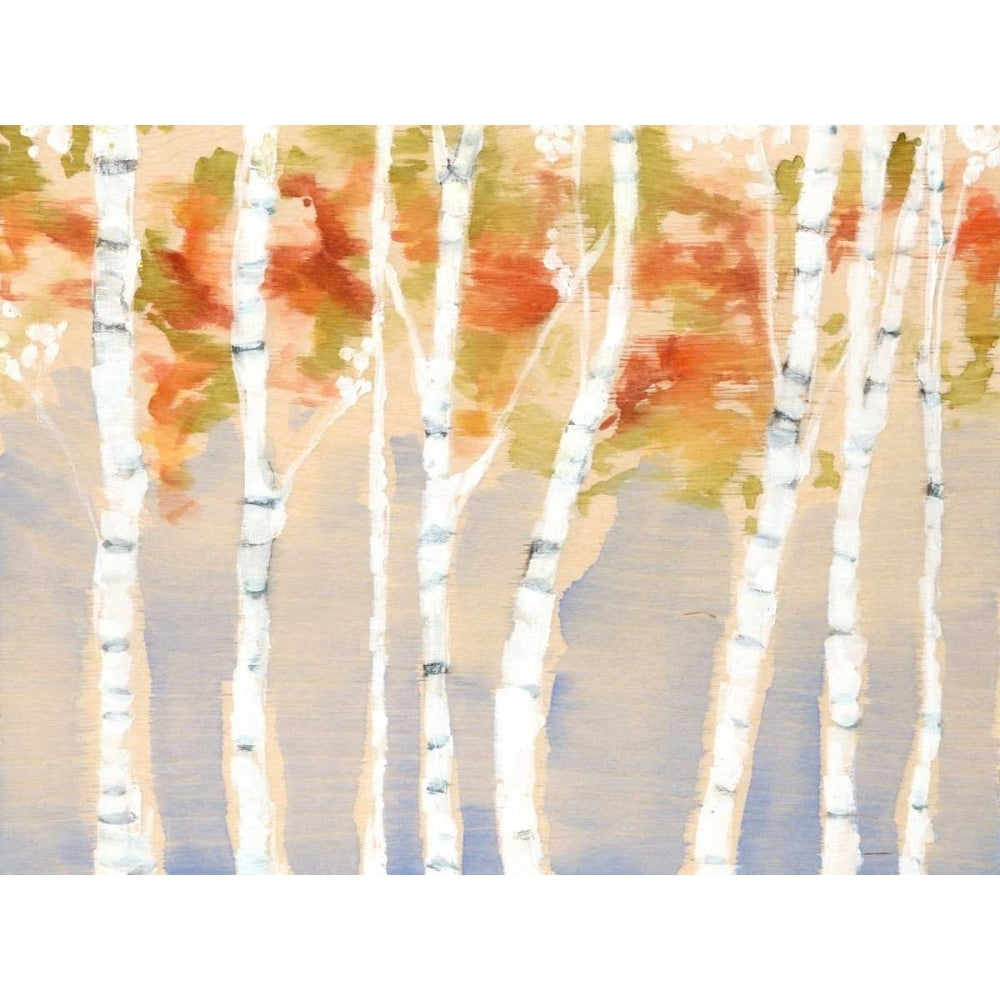 Swaying Birches II Poster Print - Jennifer Goldberger-VARPDX106072GG Image 1