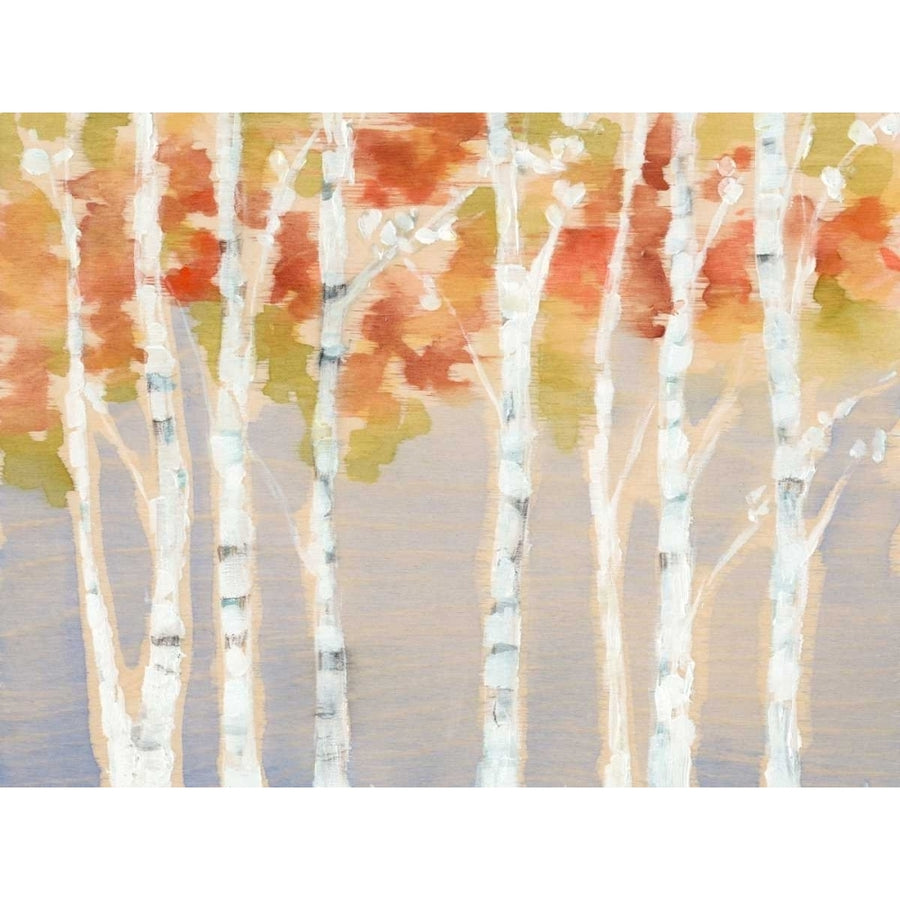 Swaying Birches I Poster Print - Jennifer Goldberger-VARPDX106071GG Image 1