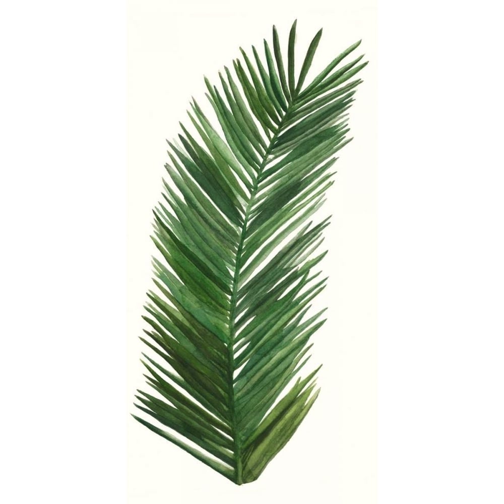 Tropical Breeze Leaves V Poster Print - Naomi McCavitt-VARPDX106245Z Image 1