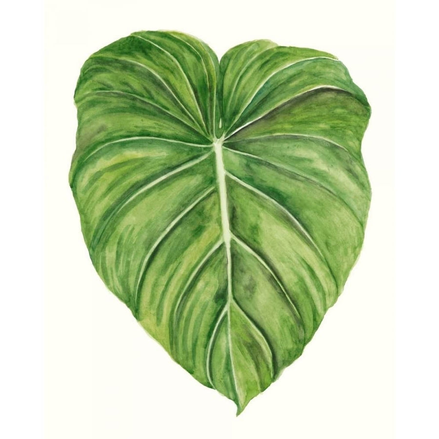 Tropical Breeze Leaves II Poster Print - Naomi McCavitt-VARPDX106242Z Image 1