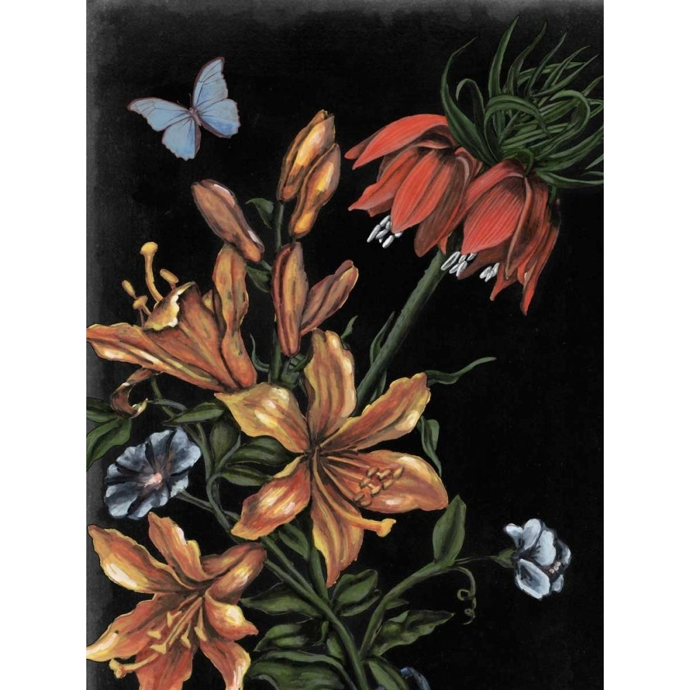 Dark Floral II Poster Print - Naomi McCavitt-VARPDX106247Z Image 1