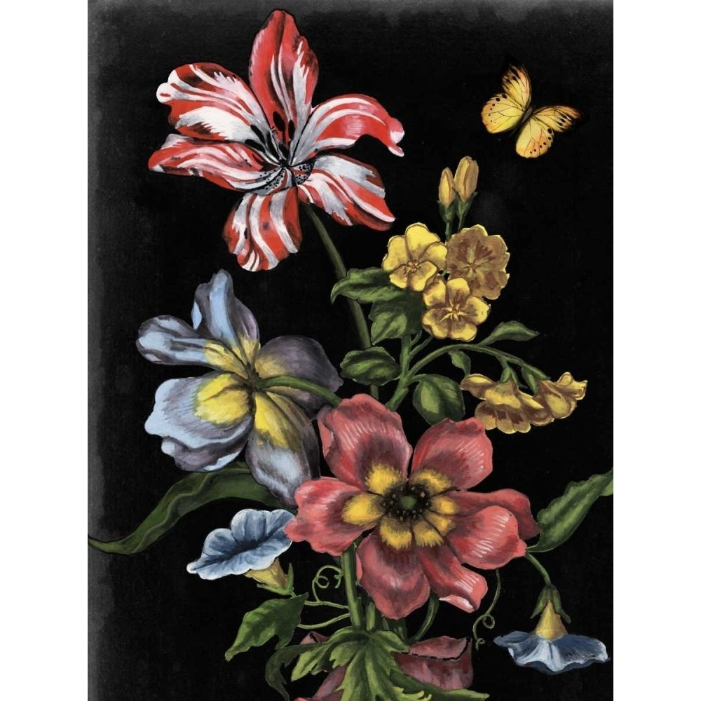 Dark Floral I Poster Print - Naomi McCavitt-VARPDX106246Z Image 1