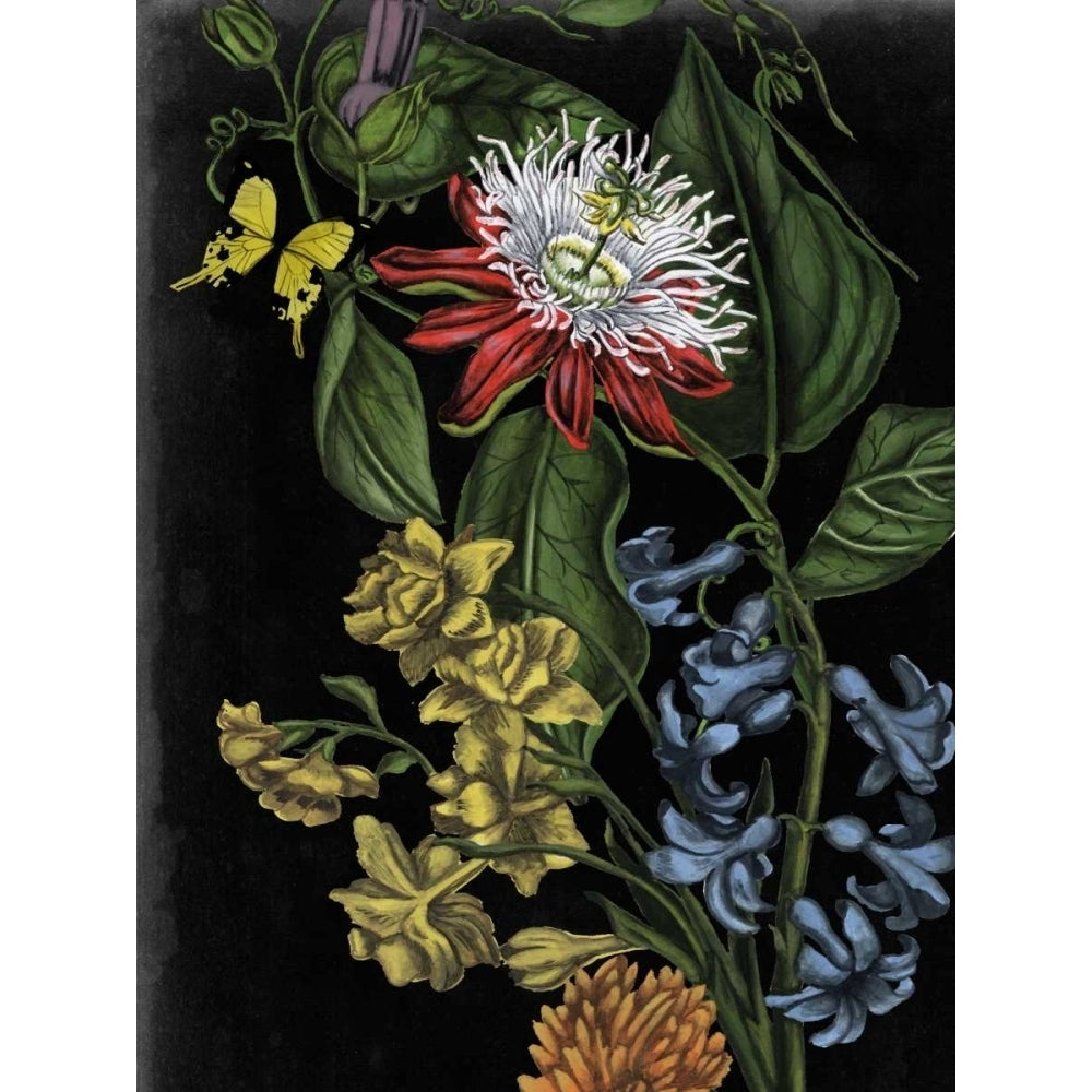 Dark Floral III Poster Print - Naomi McCavitt-VARPDX106248Z Image 1