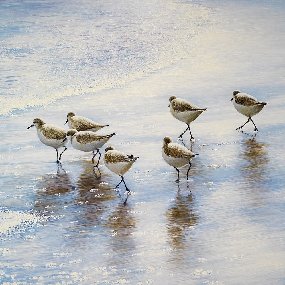 Sand Dancers Square Poster Print by Bruce Nawrocke-VARPDX10635F Image 1