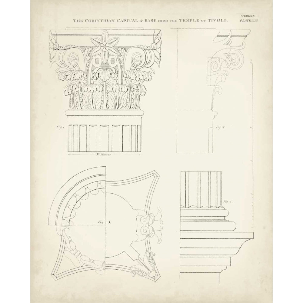 Greek and Roman Architecture I Poster Print - Thomas Kelly-VARPDX106437Z Image 1