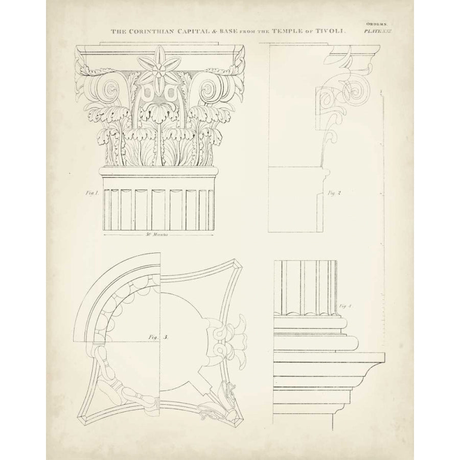 Greek and Roman Architecture I Poster Print - Thomas Kelly-VARPDX106437Z Image 1