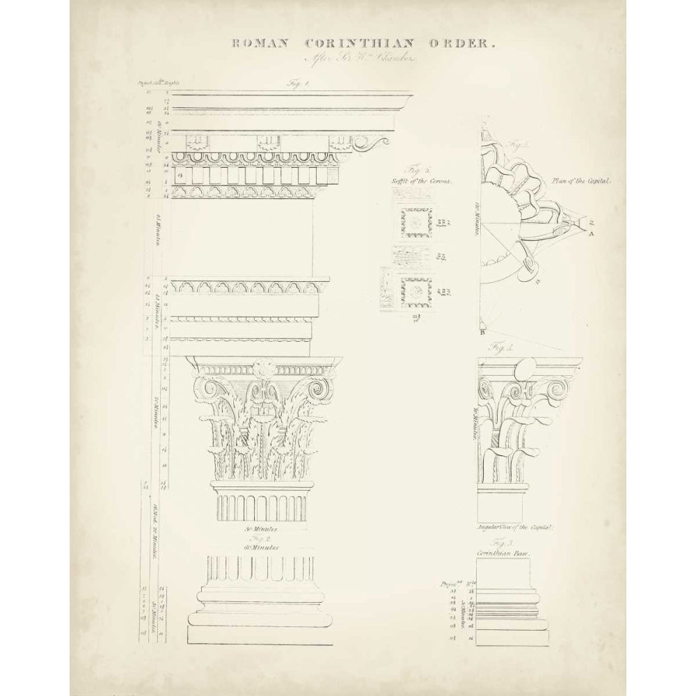 Greek and Roman Architecture II Poster Print - Thomas Kelly-VARPDX106438Z Image 1